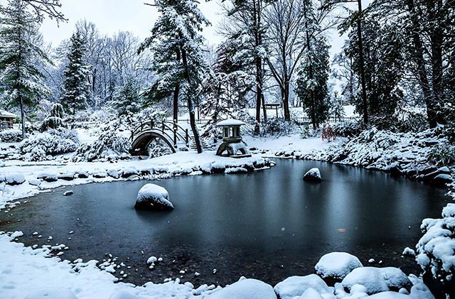 Fabyan Japanese Garden - @stufotog